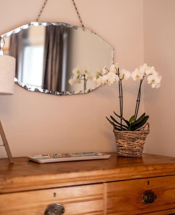 Beautiful & Spacious Retreat In 윈체스터 외부 사진